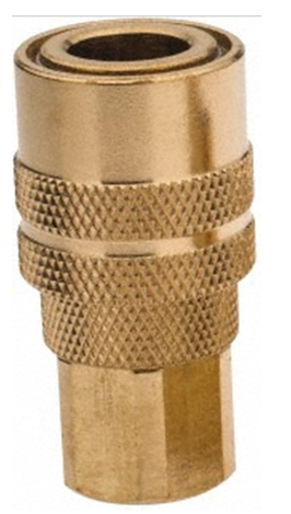 I BRASS - Hembra